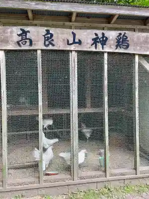 高良大社(福岡県)