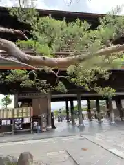 善光寺の建物その他