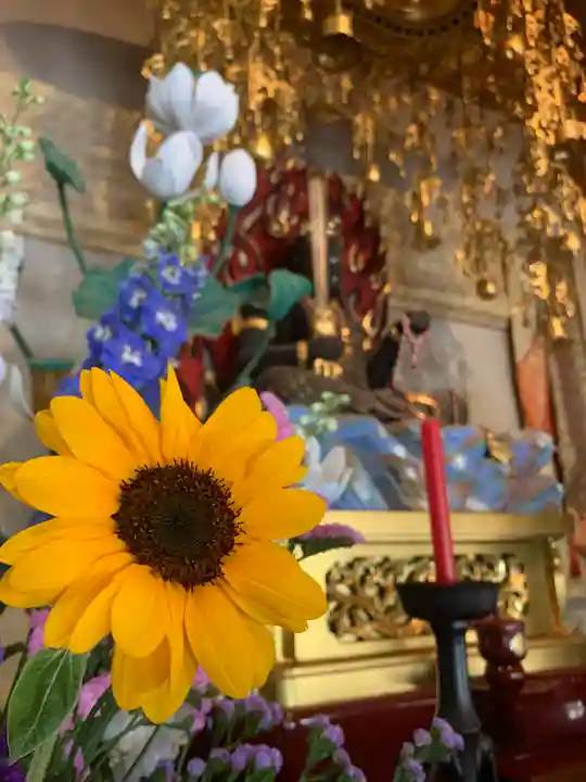 松尾山 青蓮寺の自然