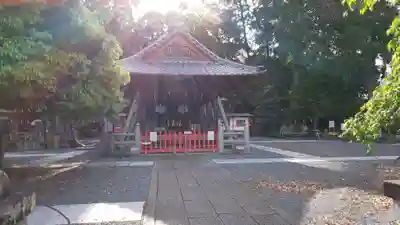 稗田野神社(薭田野神社)の本殿・本堂