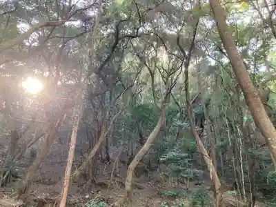 高龗神社の周辺
