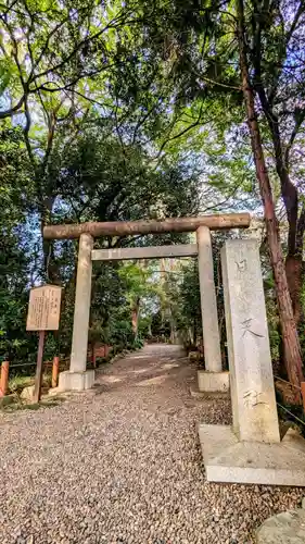 櫻木神社の鳥居