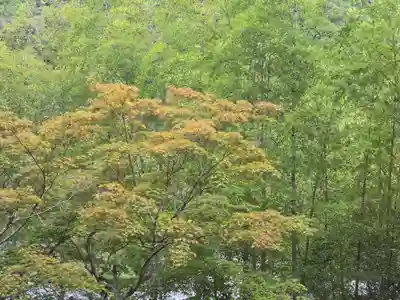 神峯山寺(大阪府)