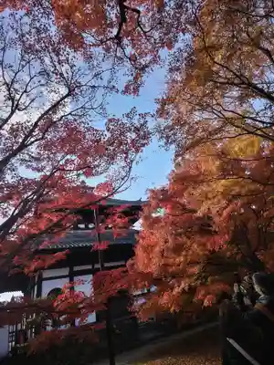 東福禅寺(東福寺)(京都府)