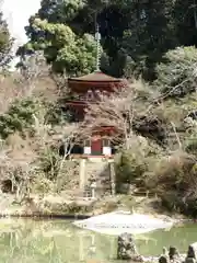浄瑠璃寺の塔