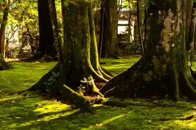 都農神社(宮崎県)
