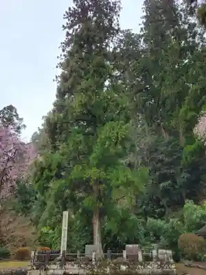 妙義神社(群馬県)