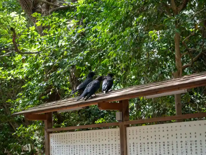 王子神社(東京都)