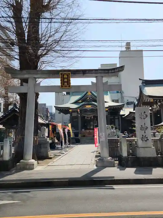 柏神社の{uncategorized: "未分類", other: "その他", undefined: "問題あり", building: "その他建物", grave: "お墓", sacred_gate: "鳥居", guardian: "狛犬", statue: "像", buddha: "仏像", history: "歴史", nature: "自然", garden: "庭園", animal: "動物", pagoda: "塔", temizu: "手水舎", mountain_gate: "山門・神門", sanctuary: "本殿・本堂", subordinate: "末社・摂社", art: "芸術", scenery: "景色", jizo: "地蔵", ema: "絵馬", goshuin: "御朱印", omikuji: "おみくじ", items: "授与品その他", amulet: "お守り", goshuincho: "御朱印帳", eats: "食事", festival: "お祭り", votive_dance: "神楽", shichigosan: "七五三参", wedding: "結婚式", experience: "体験その他", initially: "初詣", around: "周辺", anti_infection: "感染症対策"}