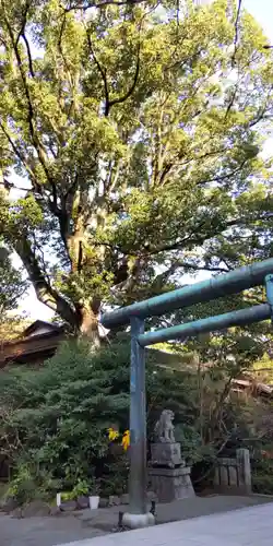 報徳二宮神社の鳥居