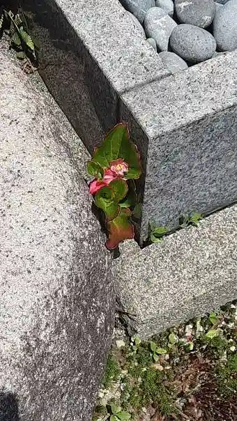 西方山極楽寺の自然