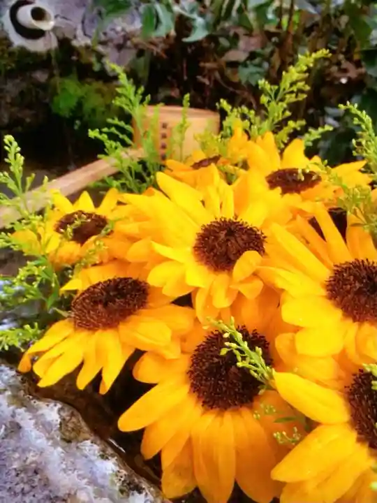 本郷氷川神社(東京都)
