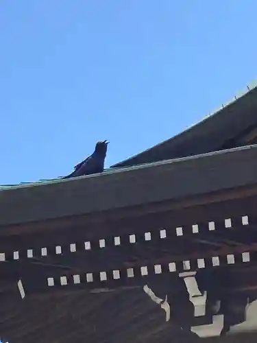 落合白山神社(東京都)