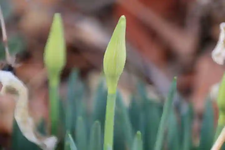 阿邪訶根神社の庭園