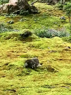 三千院門跡(京都府)