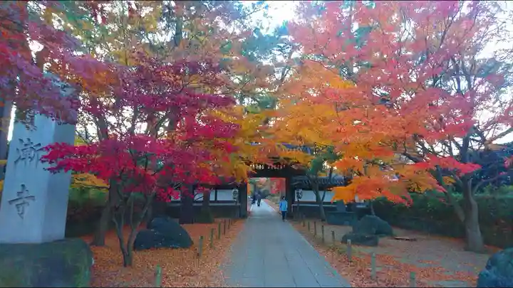 東漸寺の自然