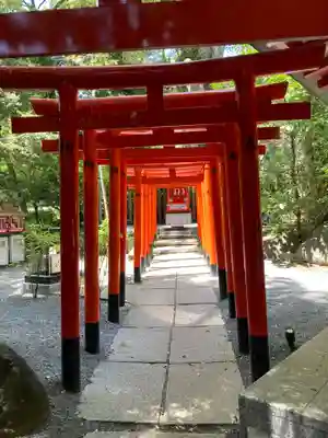 來宮神社(静岡県)