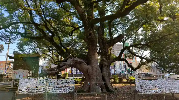諫早神社(九州総守護 四面宮)(長崎県)