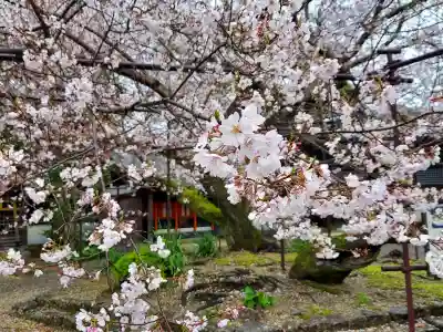 道成寺の{uncategorized: "未分類", other: "その他", undefined: "問題あり", building: "その他建物", grave: "お墓", sacred_gate: "鳥居", guardian: "狛犬", statue: "像", buddha: "仏像", history: "歴史", nature: "自然", garden: "庭園", animal: "動物", pagoda: "塔", temizu: "手水舎", mountain_gate: "山門・神門", sanctuary: "本殿・本堂", subordinate: "末社・摂社", art: "芸術", scenery: "景色", jizo: "地蔵", ema: "絵馬", goshuin: "御朱印", omikuji: "おみくじ", items: "授与品その他", amulet: "お守り", goshuincho: "御朱印帳", eats: "食事", festival: "お祭り", votive_dance: "神楽", shichigosan: "七五三参", wedding: "結婚式", experience: "体験その他", initially: "初詣", around: "周辺", anti_infection: "感染症対策"}