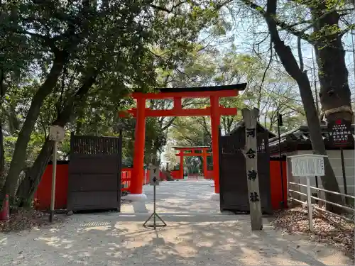 河合神社（鴨川合坐小社宅神社）の鳥居