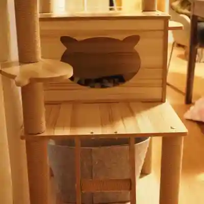 天王山 安楽寺(福井県)