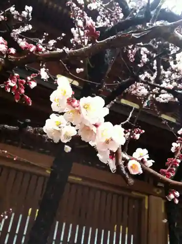 湯島天満宮(東京都)