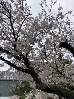 光明寺(神奈川県)