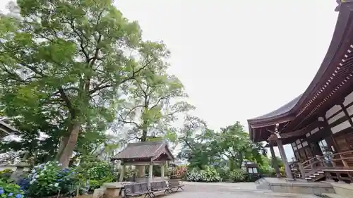 能護寺(埼玉県)