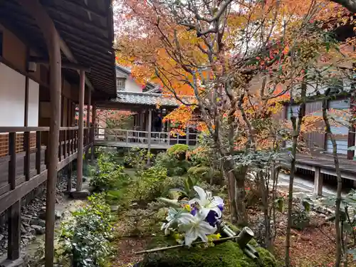 安楽寺(京都府)