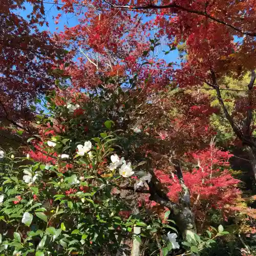 西明寺(滋賀県)