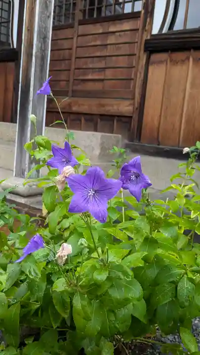 念佛寺(京都府)