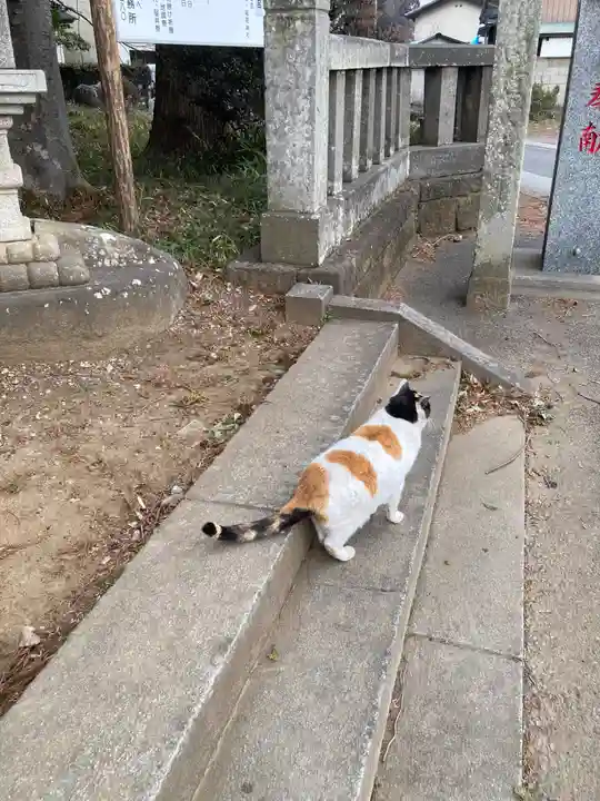 間々田八幡宮(栃木県)