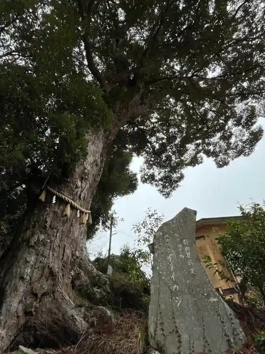 日枝神社(静岡県)
