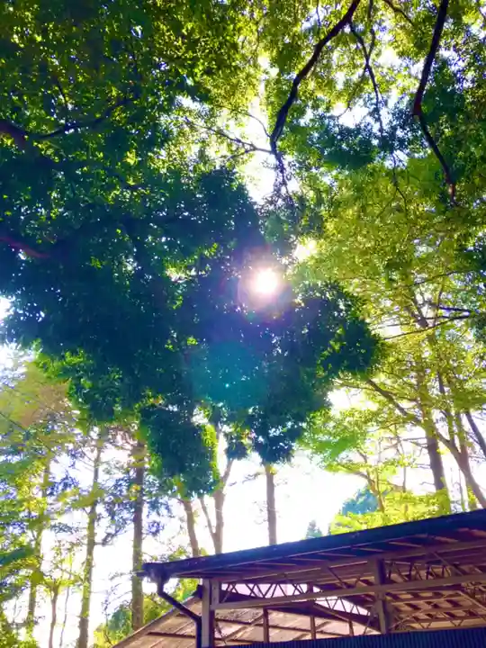 とげぬき地蔵尊の自然