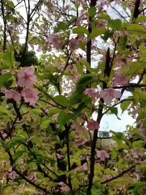 小野照崎神社(東京都)