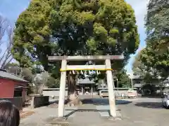 日吉浅間神社(静岡県)