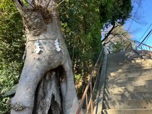 中野山王子安神社(東京都)