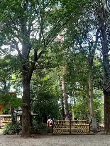 世田谷八幡宮(東京都)