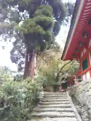 石上神宮の建物その他