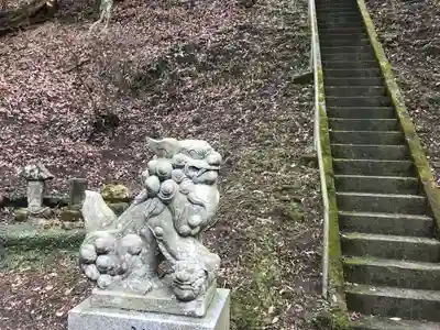 阿夫利神社の狛犬
