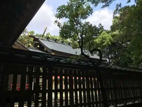 猿田彦神社の本殿・本堂
