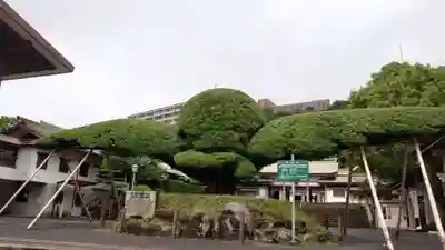 照國神社の芸術