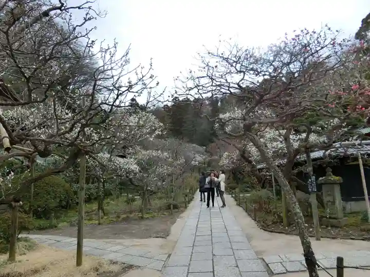 東慶寺のその他建物