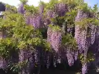 下之坊(静岡県)