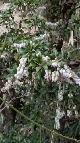 惠心院（恵心院）(京都府)