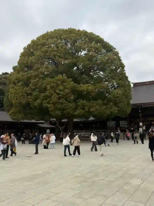 明治神宮の{uncategorized: "未分類", other: "その他", undefined: "問題あり", building: "その他建物", grave: "お墓", sacred_gate: "鳥居", guardian: "狛犬", statue: "像", buddha: "仏像", history: "歴史", nature: "自然", garden: "庭園", animal: "動物", pagoda: "塔", temizu: "手水舎", mountain_gate: "山門・神門", sanctuary: "本殿・本堂", subordinate: "末社・摂社", art: "芸術", scenery: "景色", jizo: "地蔵", ema: "絵馬", goshuin: "御朱印", omikuji: "おみくじ", items: "授与品その他", amulet: "お守り", goshuincho: "御朱印帳", eats: "食事", festival: "お祭り", votive_dance: "神楽", shichigosan: "七五三参", wedding: "結婚式", experience: "体験その他", initially: "初詣", around: "周辺", anti_infection: "感染症対策"}