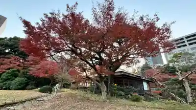 【閉業】小石川大神宮の{uncategorized: "未分類", other: "その他", undefined: "問題あり", building: "その他建物", grave: "お墓", sacred_gate: "鳥居", guardian: "狛犬", statue: "像", buddha: "仏像", history: "歴史", nature: "自然", garden: "庭園", animal: "動物", pagoda: "塔", temizu: "手水舎", mountain_gate: "山門・神門", sanctuary: "本殿・本堂", subordinate: "末社・摂社", art: "芸術", scenery: "景色", jizo: "地蔵", ema: "絵馬", goshuin: "御朱印", omikuji: "おみくじ", items: "授与品その他", amulet: "お守り", goshuincho: "御朱印帳", eats: "食事", festival: "お祭り", votive_dance: "神楽", shichigosan: "七五三参", wedding: "結婚式", experience: "体験その他", initially: "初詣", around: "周辺", anti_infection: "感染症対策"}