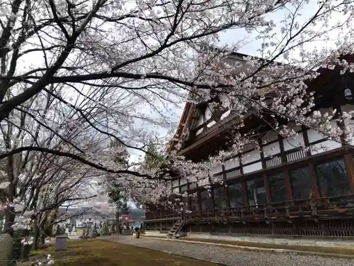 浄興寺(新潟県)