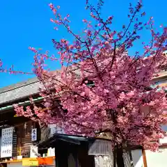 五社神社　諏訪神社(静岡県)