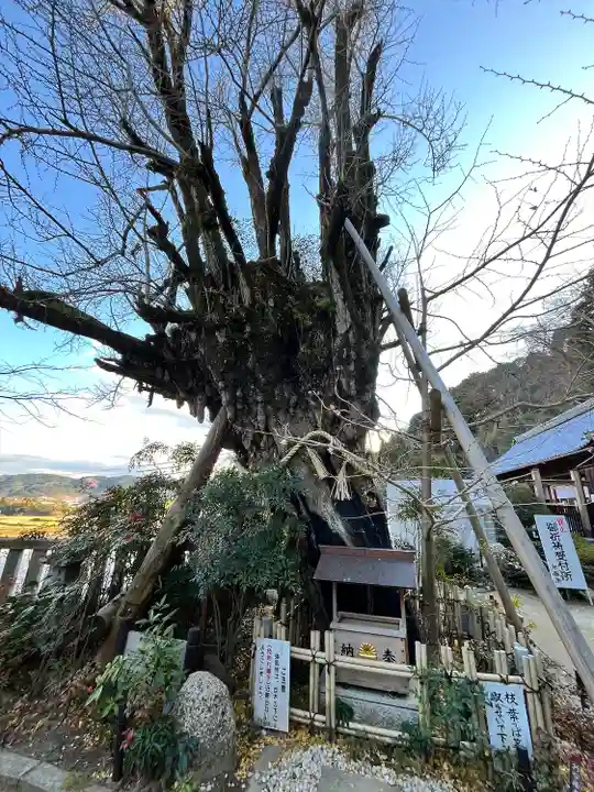 葛城一言主神社(奈良県)